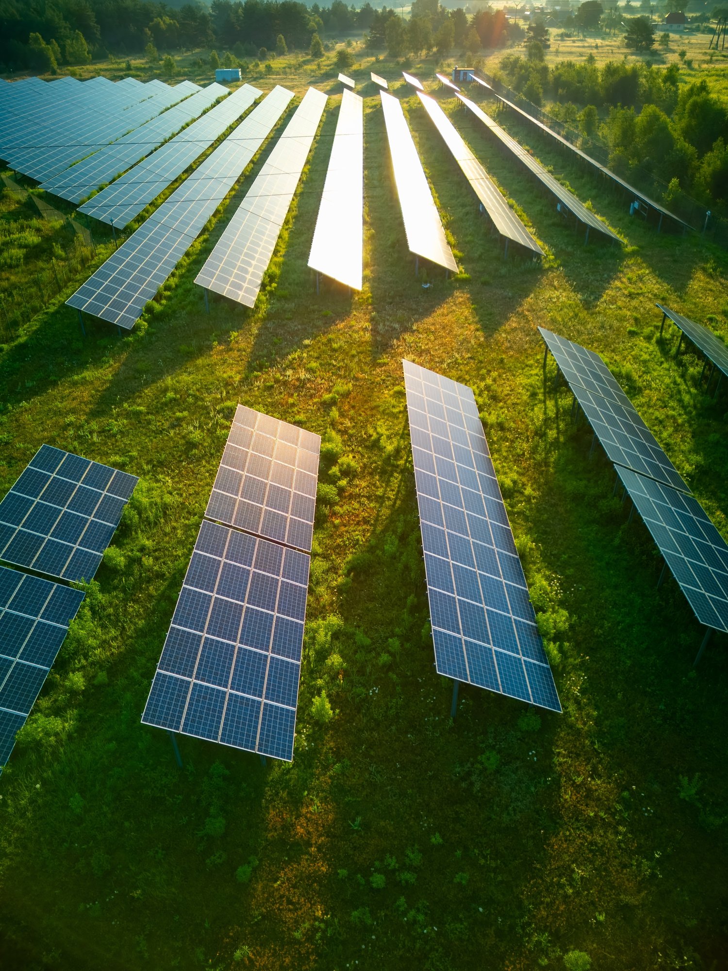 shutterstock_2500120175 shutterstock_2500120175